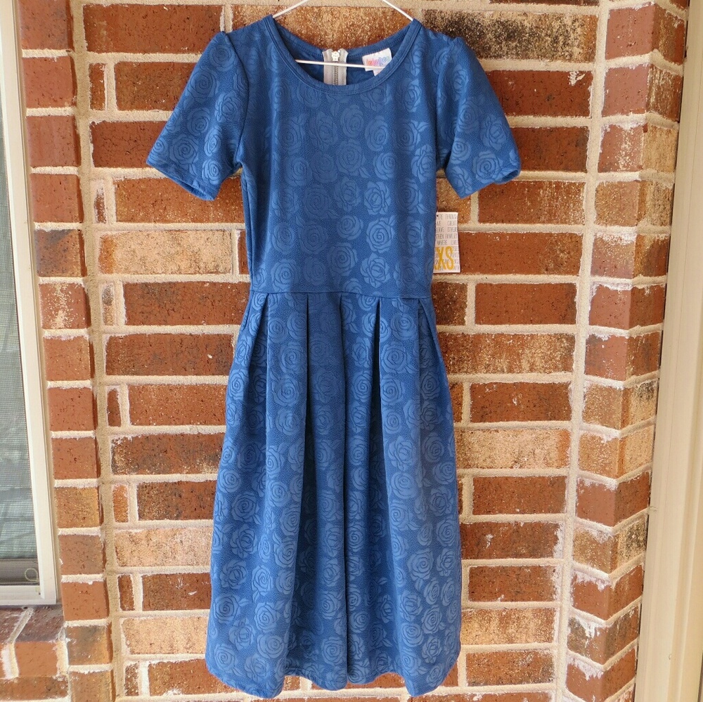 Lularoe Amelia Blue Roses Pleated Dress XXS NWT